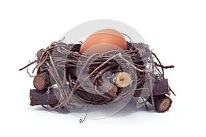 Hen egg in a nest