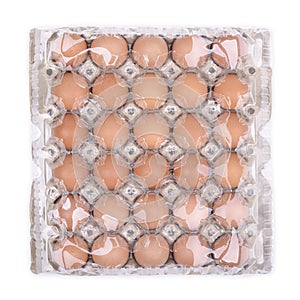 Hen egg panel isolated on white background, Top view