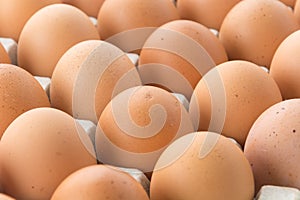 hen eggs