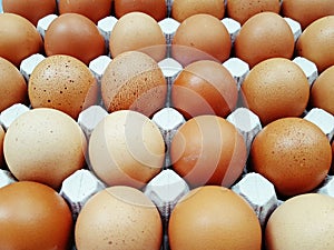 hen eggs