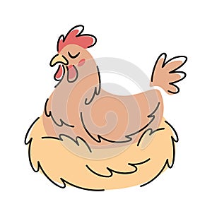 Hen hatching eggs inside nest