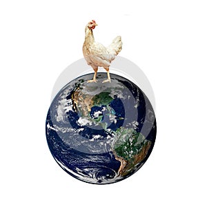 A Hen on Planet world. Elements of this image furnished by NASA