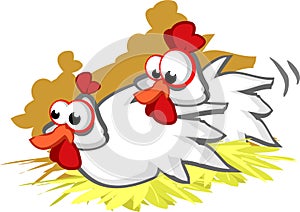 Hen with rooster behind