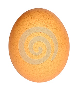 Hen's egg photo