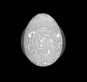 a hen\'s egg with visible pores