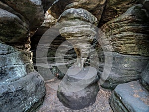 Hen`s Foot in the Errant Rocks of the Table Mountain National Park, Poland