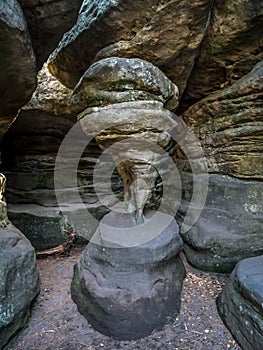Hen`s Foot in the Errant Rocks of the Table Mountain National Park, Poland photo