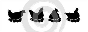 Hen silhouettes vector set. Chicken incubate the eggs illustration set