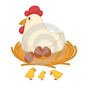 Hen sitting eggs and chicken hatch on nest farm fowl vector icon
