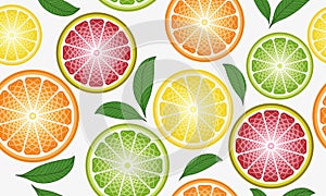 Hend drawn vector vivid seamless pattern with colorful citrus slices