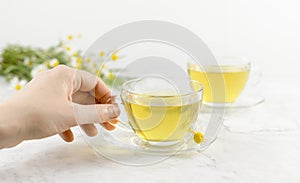 hend take a glass cup of chamomile tea on a white background.with teapot and bouquet of daisies