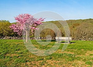 Hendersonville NC Jump Off Rock Park photo