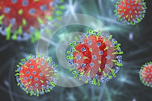Hendra virus infection