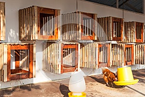 Henhouse farmyard, hanged on wall for chicken hatch