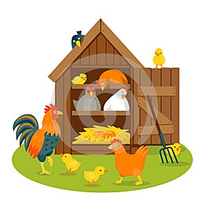 Henhouse with funny birds on a green lawn isolated vector illustration