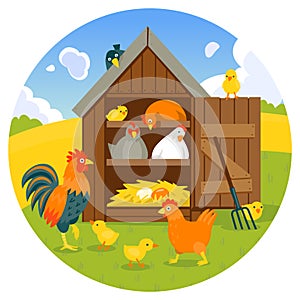 Henhouse with funny birds on a green lawn vector illustration