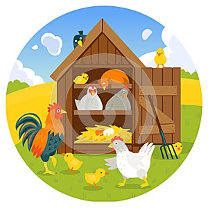 Henhouse with funny birds on a green lawn vector illustration