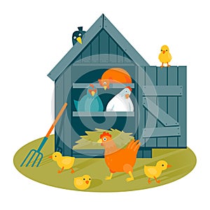 Henhouse on a green lawn vector illustration photo