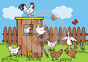 Henhouse and poultry in the backyard, vector illustration photo