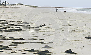 Henley beach Adelaide, Australia