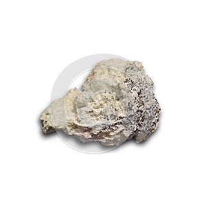 Henmilite mineral on a white background.