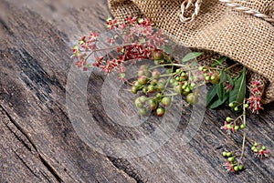 Henna or lawsonia inermis ,flower ,fruits and green leaves on an old wood background.top view,flat lay