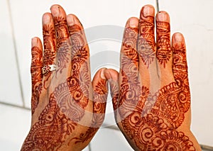 Henna painted hands against white background.