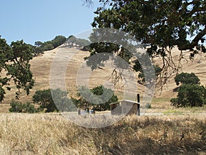 Henry Coe State Park