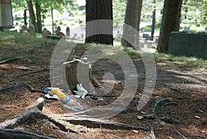 Henry David Thoreau tombstone