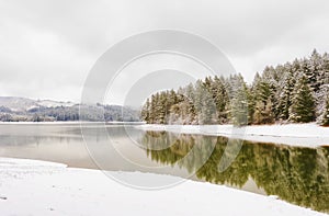 Henry Hagg Lake winter landscape