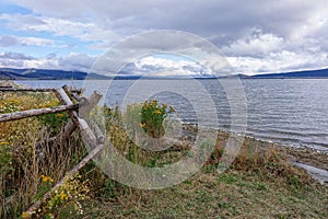 Henry`s Lake - Wildflowers & Fence