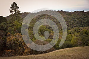 Henry W Coe State Park near Morgan Hill CA