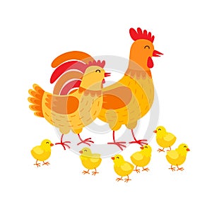 Hens family cute cartoon characters. Hen, rooster and chickens isolated on white background. Happy chicks vector