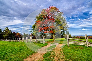 Hensley Settlement autumn colors