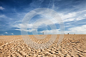 Henty Sand Dunes Tasmania