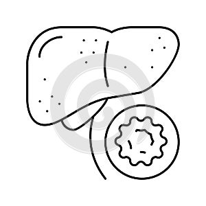 hepatitis B line icon vector illustration photo