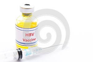 Hepatitis B virus vaccine