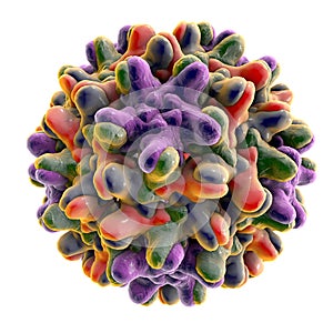 Hepatitis B viruses illustration