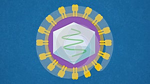 Hepatitis C virus HCV