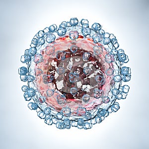 Hepatitis C virus