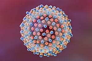 Hepatitis C virus illustration