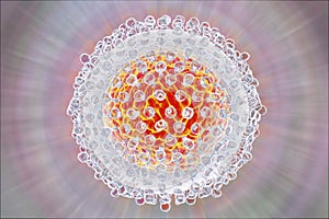 Hepatitis C virus illustration