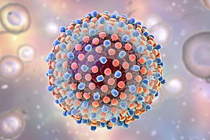 Hepatitis C virus illustration