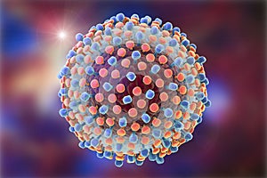 Hepatitis C virus illustration