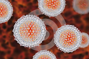 Hepatitis C virus model