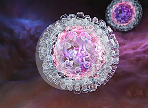 Hepatitis C virus photo