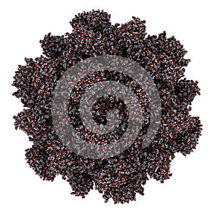 Hepatitis E virus capsid structure. HEV infection causes viral hepatitis. Atomic-level structure. photo