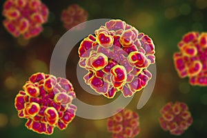 Hepatitis E virus molecular model photo