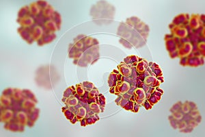 Hepatitis E viruses photo