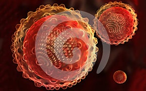 Hepatitis virus